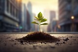 Fototapeta  - Nurturing growth. Environmental life and new beginnings in close up bokeh background. Seedling growth on city and botanical