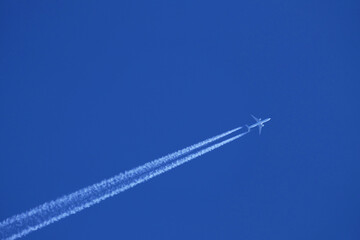 Wall Mural - airplane in the sky