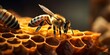 Detailed macro image of a bee collecting honey in a beehive Bee on a honeycomb in a hive, Generative AI