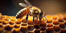 Detailed Macro Image Of A Bee Collecting Honey In A Beehive Bee On A Honeycomb In A Hive, Generative AI