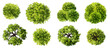 © pimchanok - Vector watercolor green tree or forest top view isolated on white background for landscape plan and architecture drawing,plant for environment or garden,botanical element for exterior layout