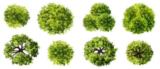 Vector watercolor green tree or forest top view isolated on white background for landscape plan and architecture drawing,plant for environment or garden,botanical element for exterior layout