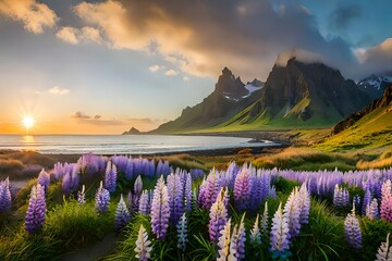 Canvas Print - sunset in the mountains