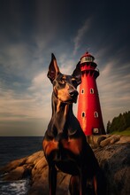 Doberman Dog Walking By Red Lighthouse At Sunset