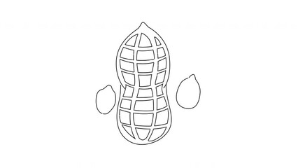 Sticker - animated video of a peanut icon sketch