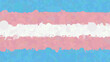 Vector stylized transgender flag. Illustration for Pride Month