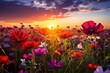 Un champ de fleurs colorées au printemps sous un magnifique coucher de soleil