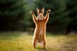 Red rabbit standing on hind legs waving hello with front paw. Generative AI