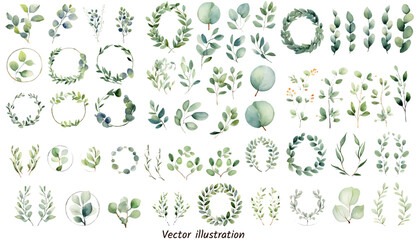exotic plants leaf set on an isolated white background, watercolor vector illustration. wedding fram