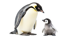 Penguin Parent With Cute Chick, Cut Out