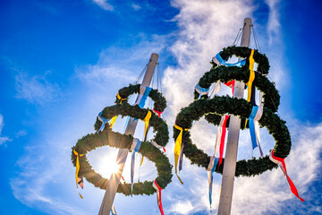 Wall Mural - typical bavarian maypole in front of blue sky