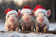 canvas print picture - Drei junge Ferkel mit Santa Claus Mütze im Schneegestöber, Schweinemotiv erzeugt mit Generative AI.