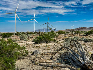 Desert wind turbines