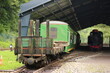 Old green wagons standing in the depot