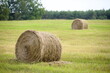 Round bales of hay on a mown field