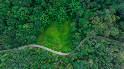 Wall Mural - top view of curved road in green forest in the rain season, rural routes connecting city in the north of thailand, Ecosystem and ecology healthy environment concepts,