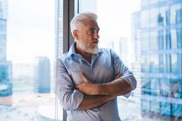 Wall Mural - Gray haired businessman standing near window in office