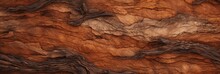 Close Up Of Tree Bark Texture, Generative AI