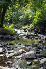 Late Summer Stream