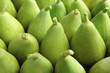 Many fresh green figs as background, closeup