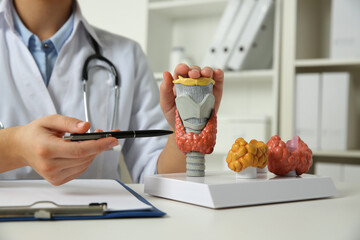 Endocrinologist showing thyroid gland models at white table in hospital, closeup