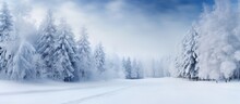 Background Of A Road In A Forest Covered With Winter Snow