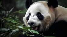 AI Generated Illustration Of A Panda Bear Happily Munches On Fresh Green Foliage