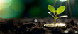 small green sprout breaking through a pile of coins, epitomizing the potential for financial growth and the impact of smart investment decisions. copy text space