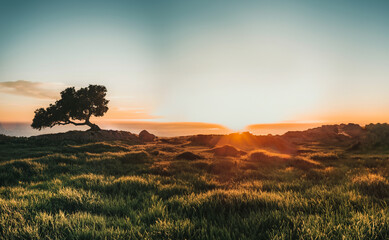 sunset in the mountains