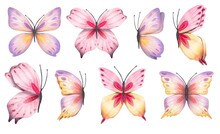 Set With Abstract Butterfly In Pink, Yellow, Red, Purple Tones, Watercolor