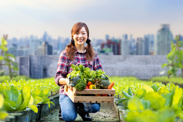 Wall Mural - Asian woman farmer is carrying the wooden tray full of freshly pick organics vegetables in her garden for harvest season and healthy diet food concept