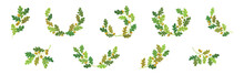 Oak Branches With Green Leaves And Acorns Arranged In Laurel Vector Set