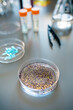 Close up of petri dish with colorful glitter sample mixed in analysis fluid over a table in environment research lab. Concept of investigation about dangers of small plastic in cosmetic products.