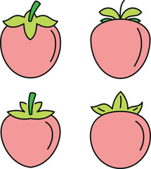 Poster - Persimmon fruit icon set. Outline set of persimmon fruit vector icons thin line color flat on white