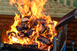 Rozpalanie grilla ogrodowego za pomocą suchego drewna opałowego, ognisko w palenisku 
