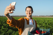 Happy Farmer Taking Selfie Through Smart Phone And Holding Crate Of Bell Peppers At Field
