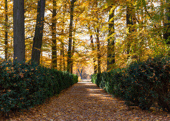 Wall Mural - Castle Gardens in Cesky Krumlov on autumn day, Czechia.