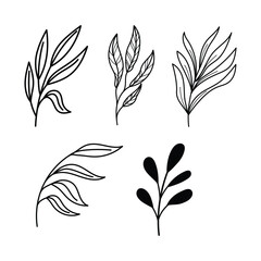  Line art botanical illustration vector on white background