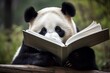 panda bear reading a book made by midjourney