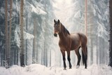 Fototapeta Konie - A horse stand in snow in winter woods.