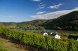 View of Moselle river and Valley, Pommern, Germany