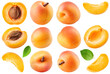 Collection of apricot fruits isolated on white background