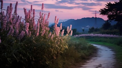 Wall Mural - On autumn nights, Mid-Autumn Festival, the full moon is in the sky