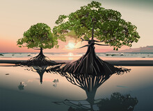 Landscape With Row Of Mangrove Trees On Low Tide Beach View During Sunrise.
