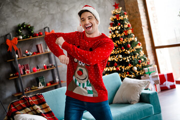 Poster - Photo of positive satisfied person look enjoy deer print newyear festive sweater living room flat indoors