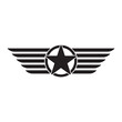 Military rank icon logo vector design template
