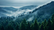 A photo of the Black Forest, with misty atmosphere as the background, during a foggy morning