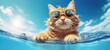 funny cute cat Wearing sunglasses on ring floating in the sea