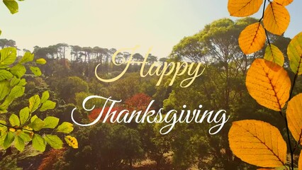 Wall Mural - Animation of happy thanksgiving text with leaves over aerial view of trees against sky