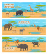 Safari park or hunting sport, African animals in savanna, vector hunt or Africa zoo banners. African savanna with wild giraffe, zebra and lion, hippopotamus with rhinoceros, antelope and cheetah